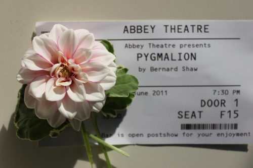 Pygmalion ticket