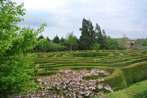 Traditional maze