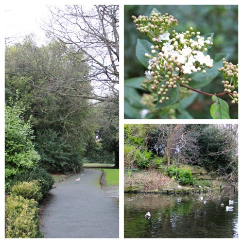 st stephen's green dublin