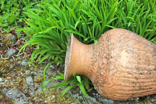 photography workshop with suzanne crampton