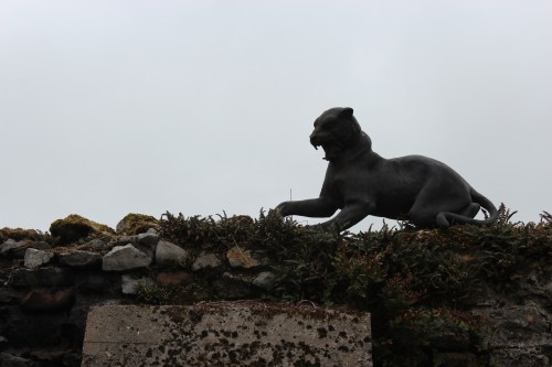 photographic workshop