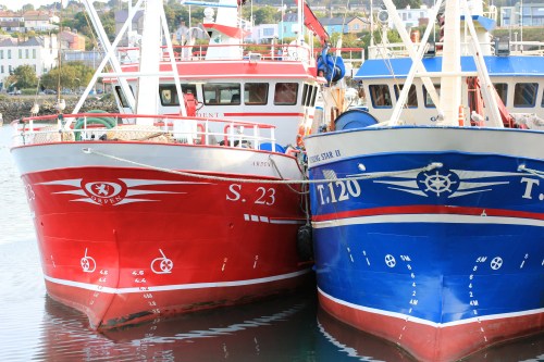 boats in howth harbour