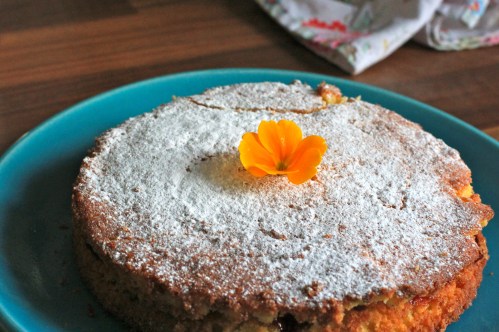 dr coy's health foods