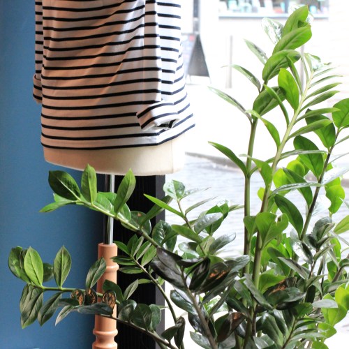 essex street west - scout