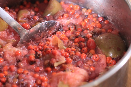 kilruddery house - berry foraging and jam making