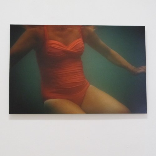 christine redmond photograph